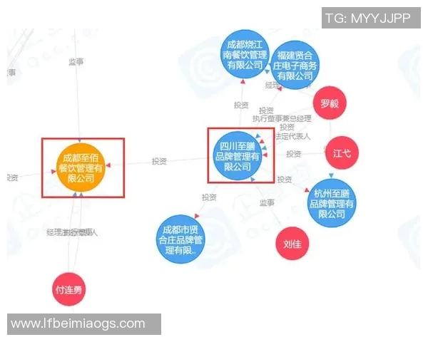 中国体育明星收入揭秘：背后的商业价值与市场潜力分析