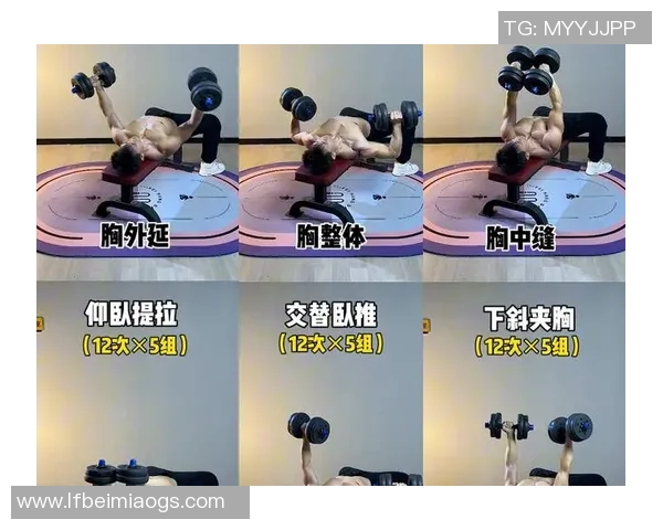 全面解析哑铃使用技巧与训练视频助你打造完美身材的必备指南