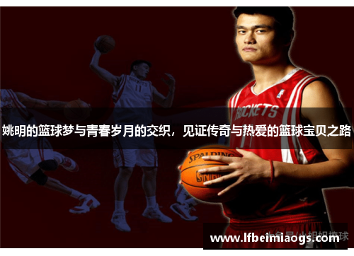 姚明的篮球梦与青春岁月的交织，见证传奇与热爱的篮球宝贝之路